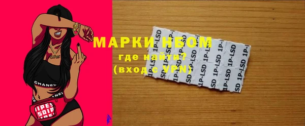 индика Корсаков