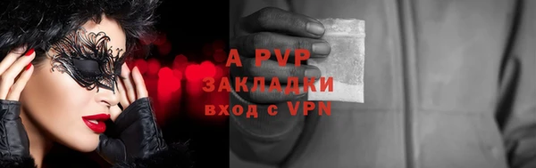 индика Корсаков