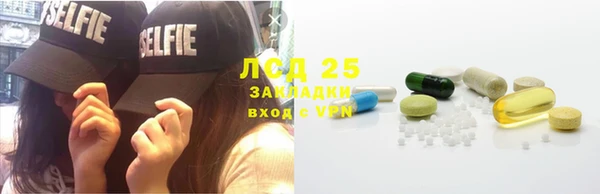 индика Корсаков