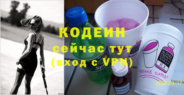 индика Корсаков