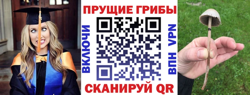 Галлюциногенные грибы ЛСД  блэк спрут tor  Мелеуз 